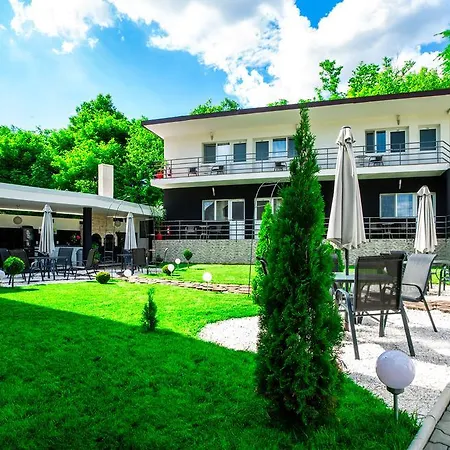 Pensiunea Avy Guest house