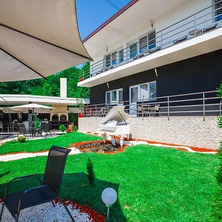 Guest house Pensiunea Avy