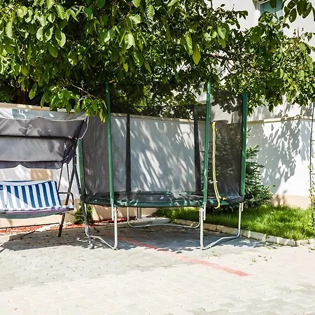 Guest house Pensiunea Avy 3*