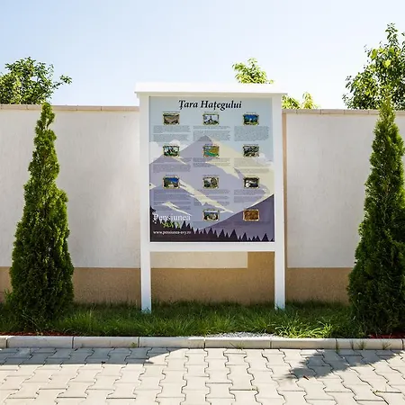 Guest house Pensiunea Avy Hateg